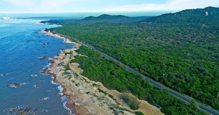 Hướng Dẫn Du Lịch Rừng Quốc Gia Bình Châu